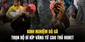 kinh nghiệm đá gà Hubet